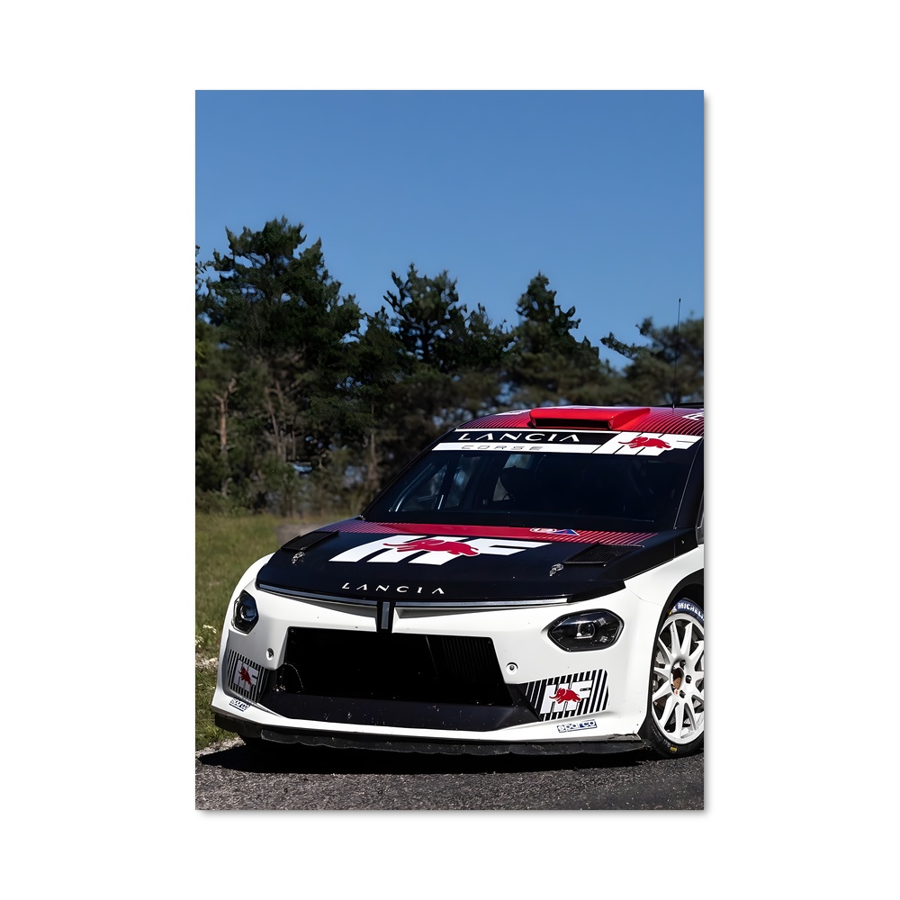 Poster Ybsilon integrale